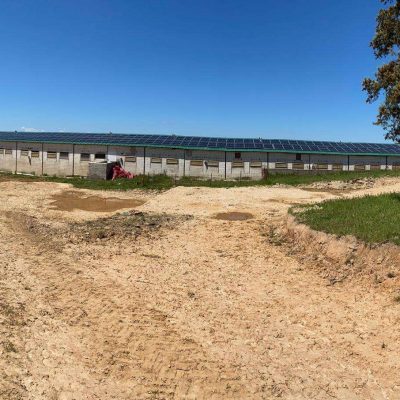 93310d5e-8f58-4f56-baa0-10853547c737